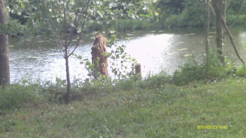 IMAG0112.JPG